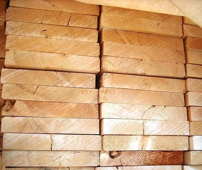 长洲智利辐射松方木